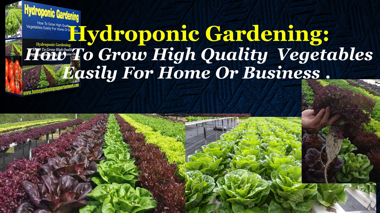 Hydroponic Gardening Growing High Quality Vegetables